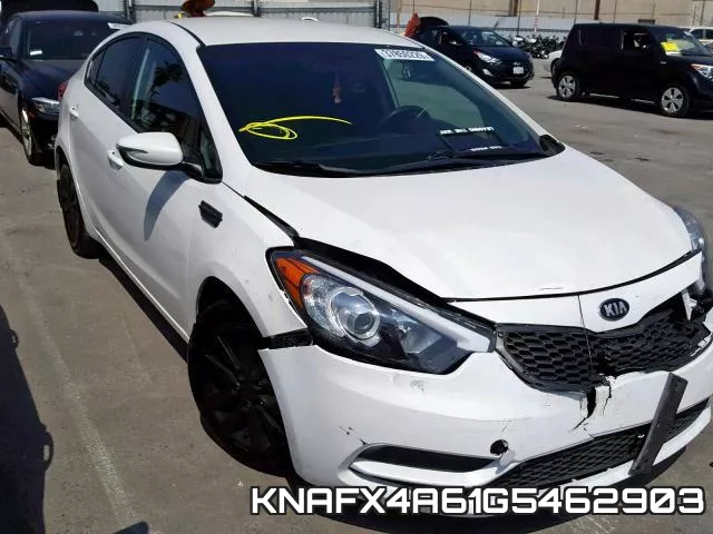 KNAFX4A61G5462903