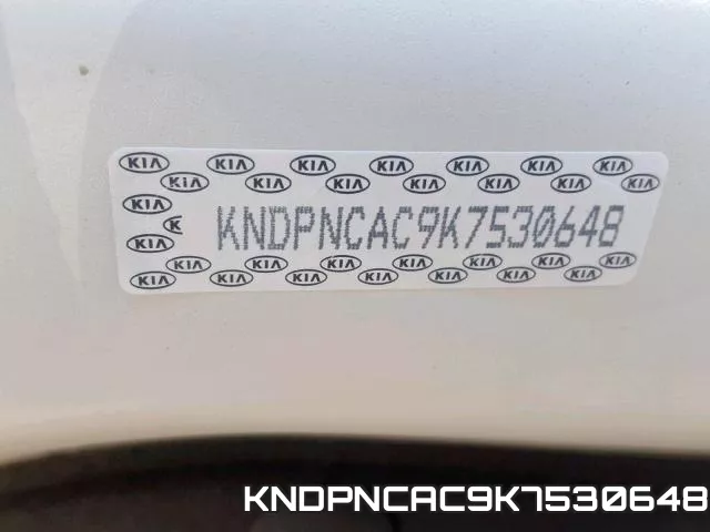 KNDPNCAC9K7530648_10.webp