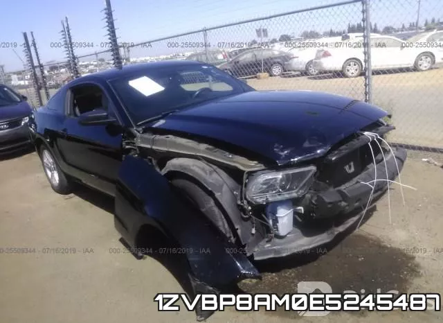 1ZVBP8AM0E5245487
