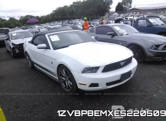 1ZVBP8EMXE5220509