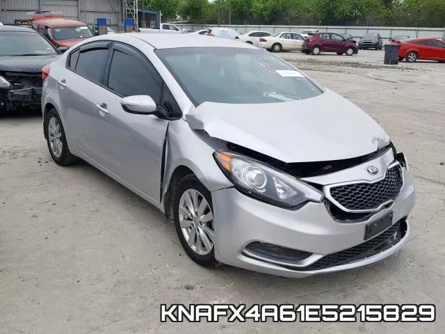 KNAFX4A61E5215829