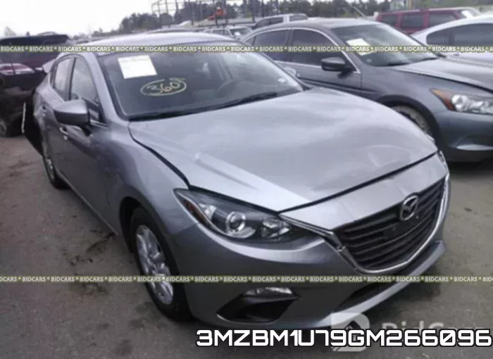 3MZBM1U79GM266096