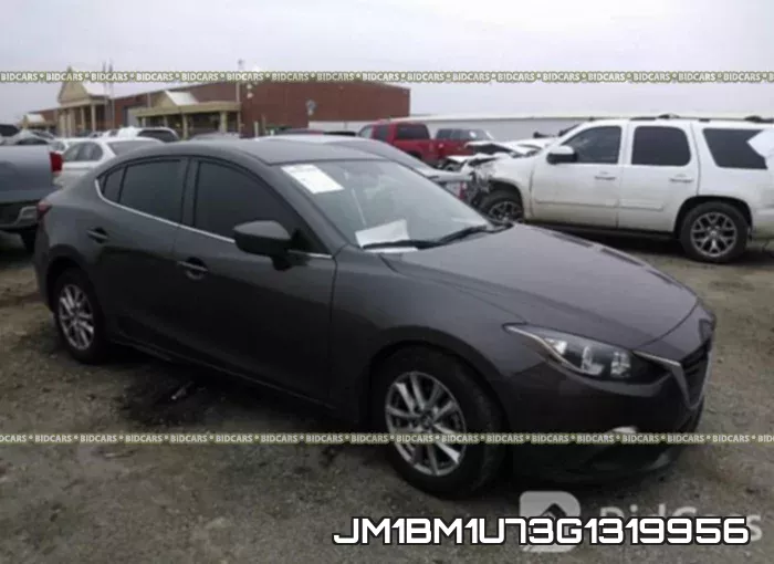 JM1BM1U73G1319956