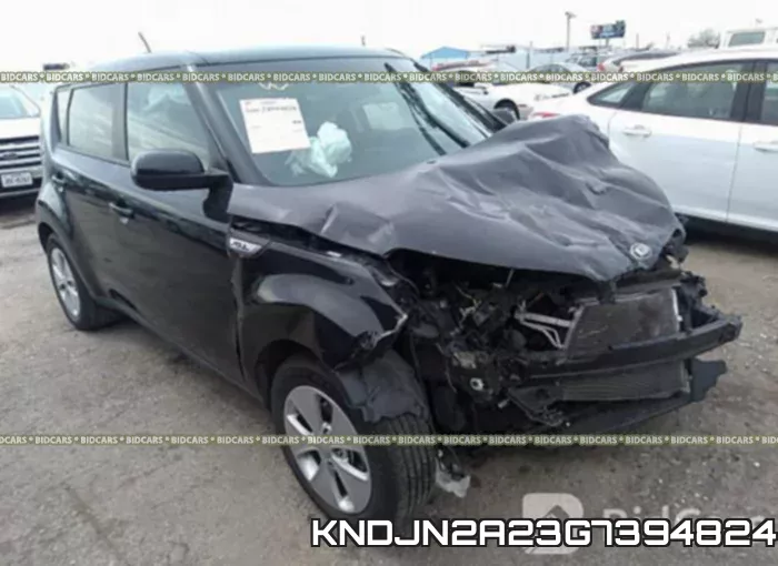 KNDJN2A23G7394824