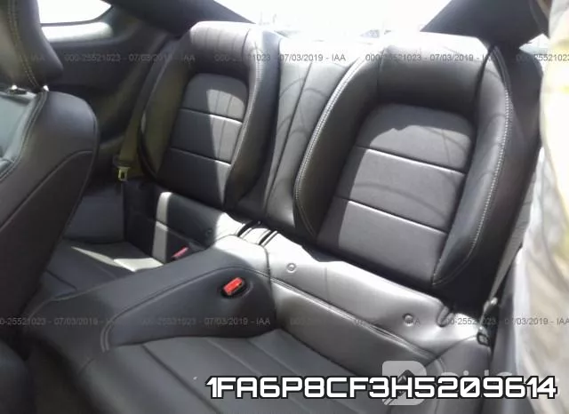 1FA6P8CF3H5209614_8.webp