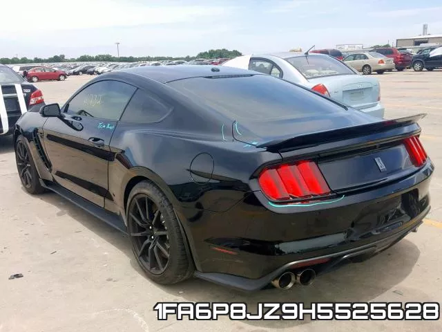 1FA6P8JZ9H5525628_3.webp