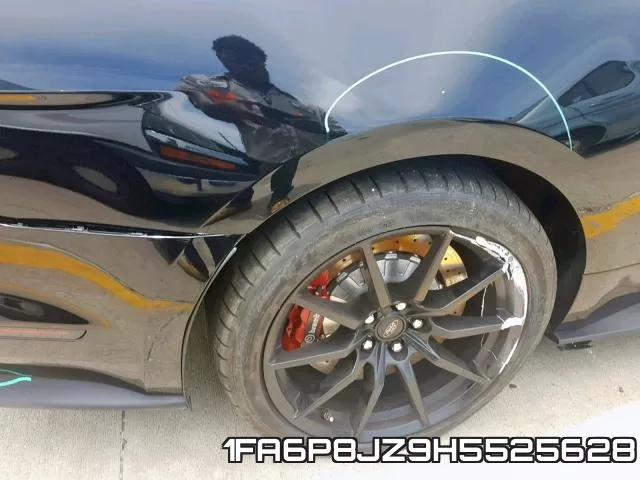 1FA6P8JZ9H5525628_9.webp