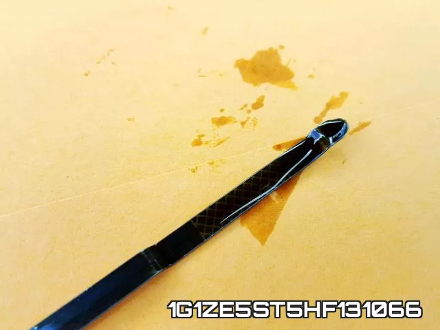 1G1ZE5ST5HF131066_9.webp