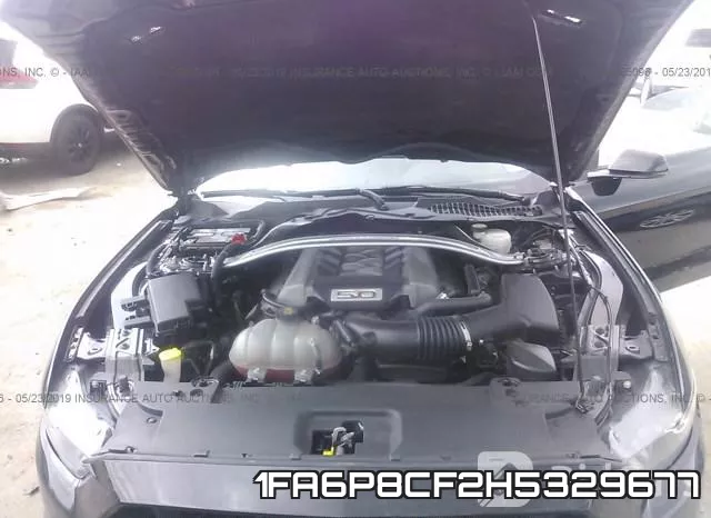 1FA6P8CF2H5329677_10.webp