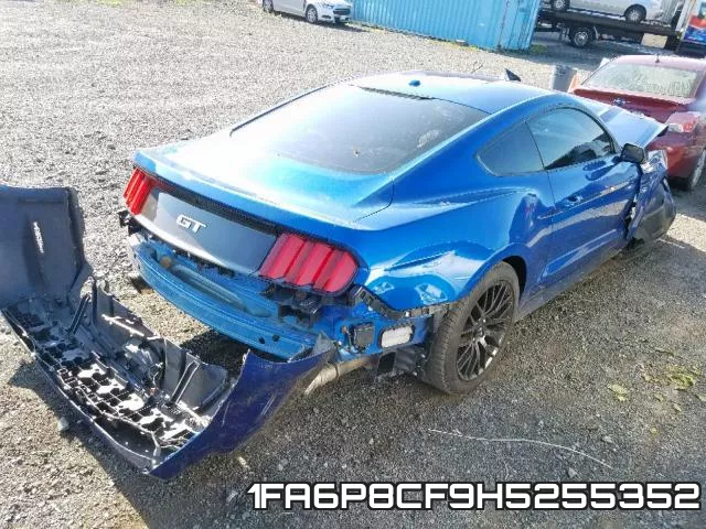1FA6P8CF9H5255352_4.webp