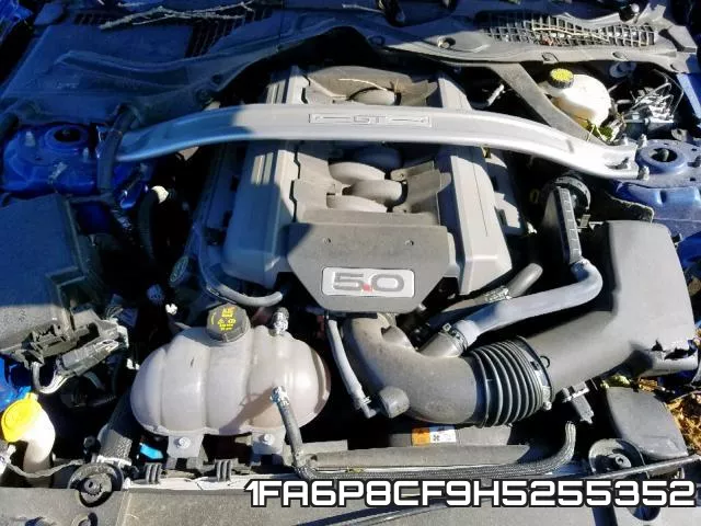 1FA6P8CF9H5255352_7.webp