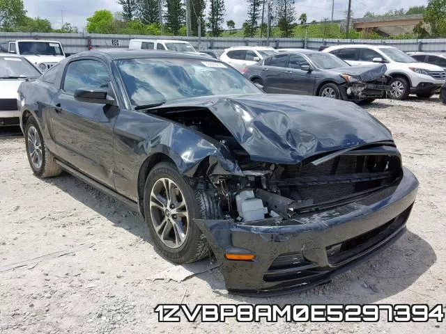 1ZVBP8AM0E5297394