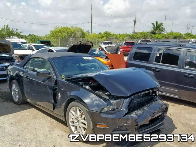 1ZVBP8EM8E5293734