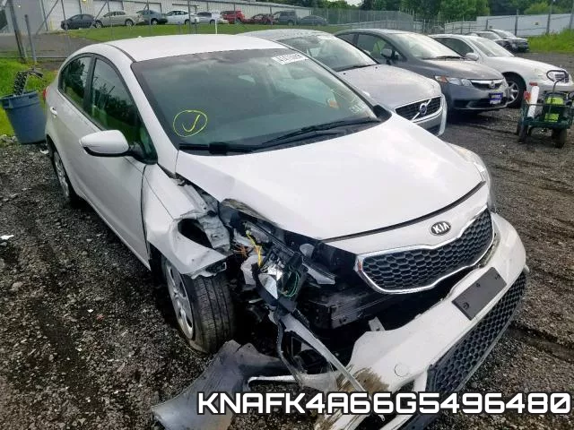 KNAFK4A66G5496480