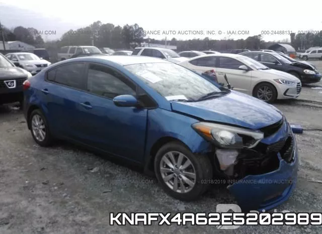 KNAFX4A62E5202989