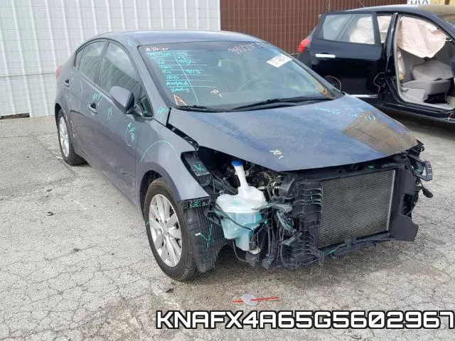 KNAFX4A65G5602967