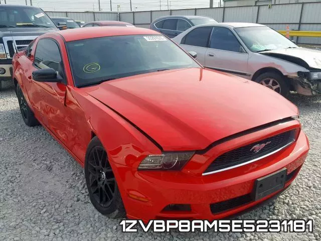 1ZVBP8AM5E5231181
