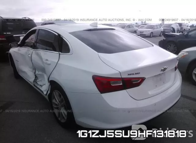 1G1ZJ5SU9HF131818_3.webp