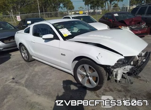 1ZVBP8CF7E5316067