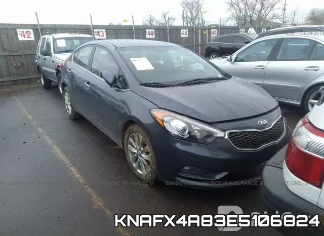 KNAFX4A83E5106824