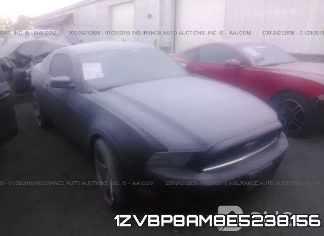 1ZVBP8AM8E5238156