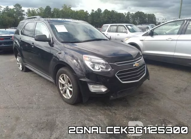 2GNALCEK3G1125300