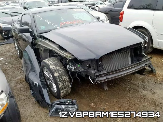1ZVBP8AM1E5274934