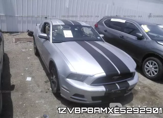 1ZVBP8AMXE5292901