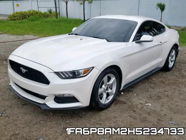 1FA6P8AM2H5234733_2.webp