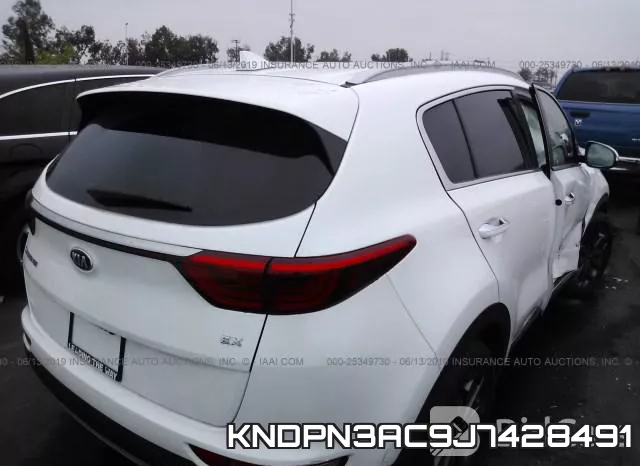 KNDPN3AC9J7428491