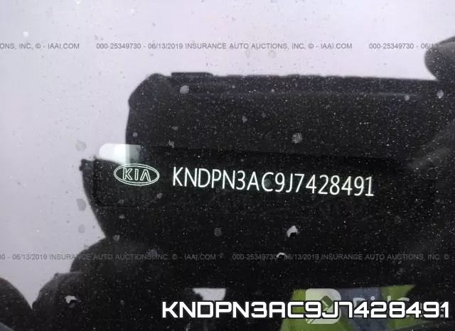 KNDPN3AC9J7428491_9.webp