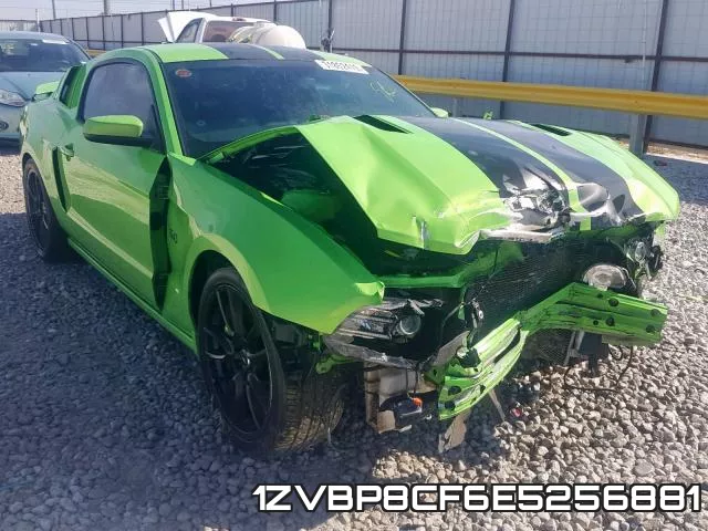 1ZVBP8CF6E5256881