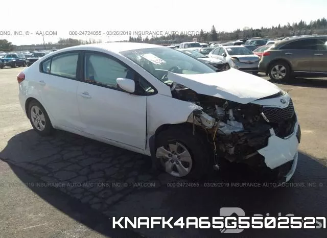 KNAFK4A65G5502527