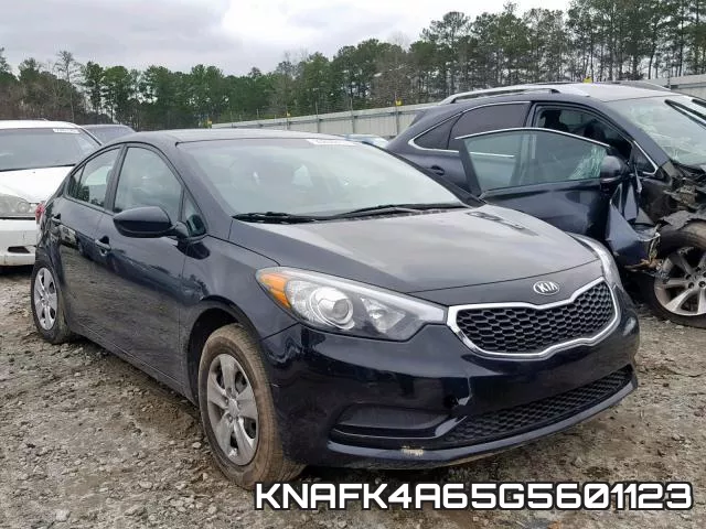KNAFK4A65G5601123