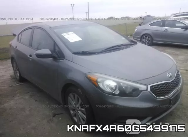 KNAFX4A60G5439175