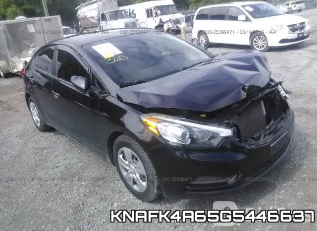 KNAFK4A65G5446637