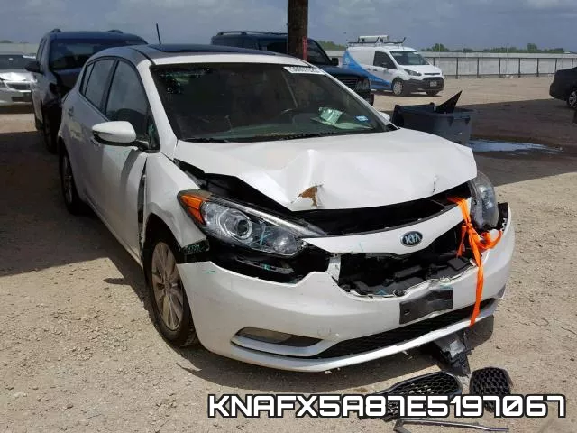KNAFX5A87E5197067