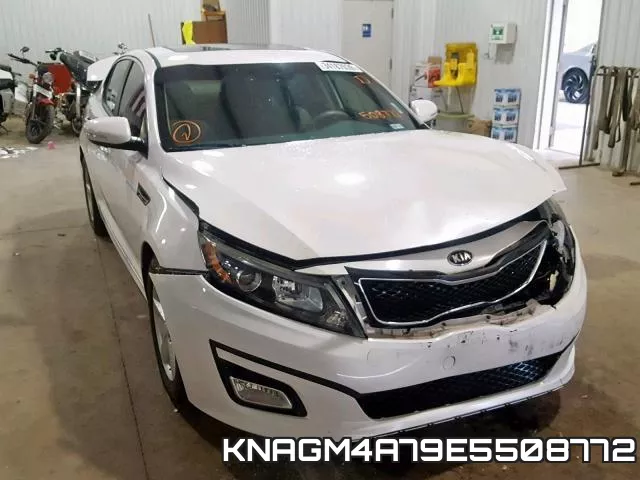 KNAGM4A79E5508772