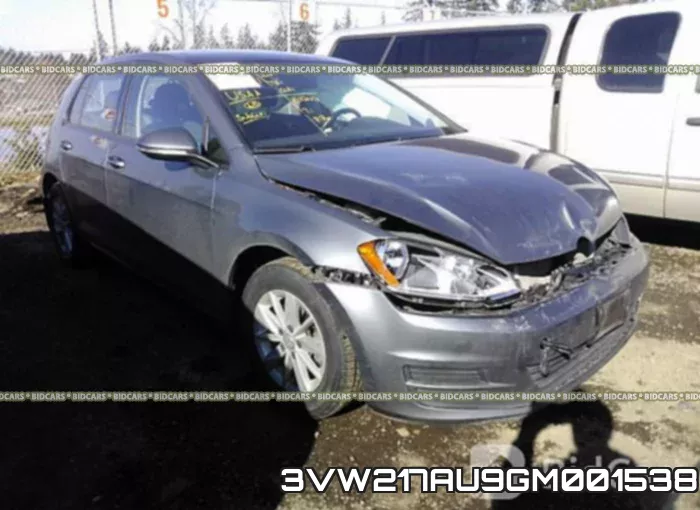 3VW217AU9GM001538