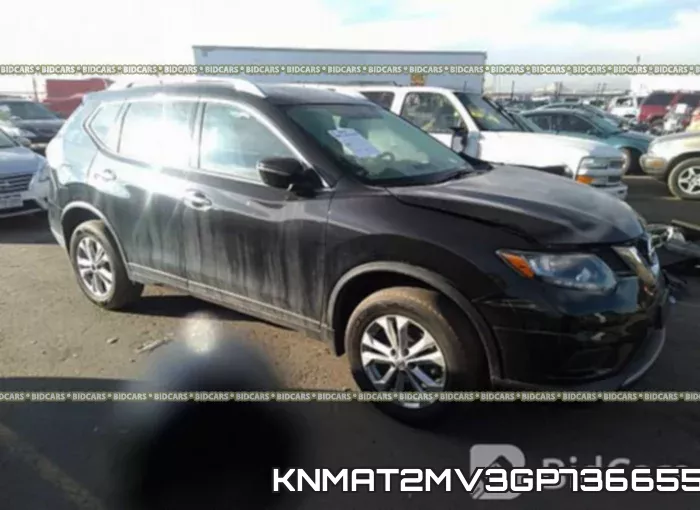 KNMAT2MV3GP736655