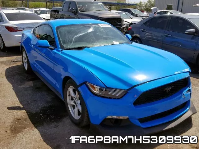 1FA6P8AM7H5309930_1.webp
