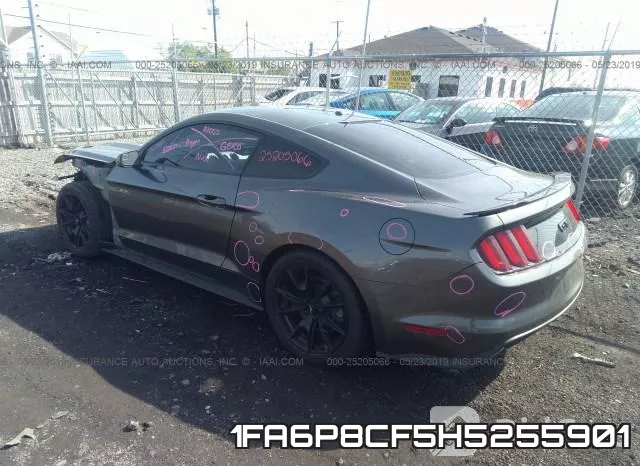 1FA6P8CF5H5255901_3.webp