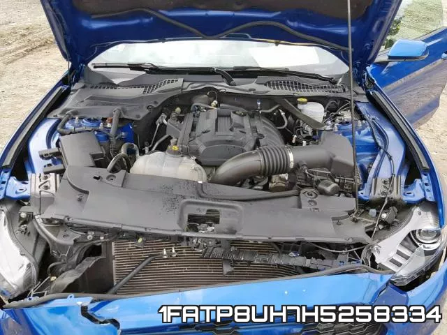 1FATP8UH7H5258334_7.webp