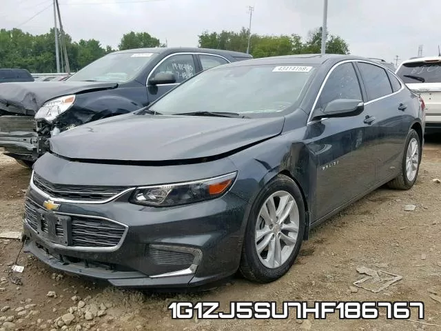1G1ZJ5SU7HF186767_2.webp