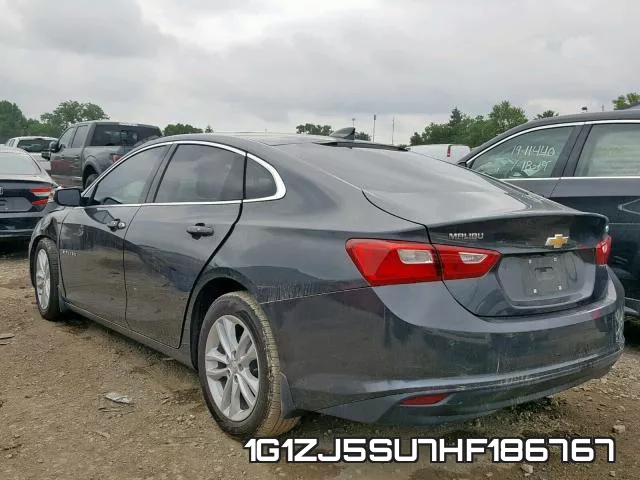 1G1ZJ5SU7HF186767_3.webp
