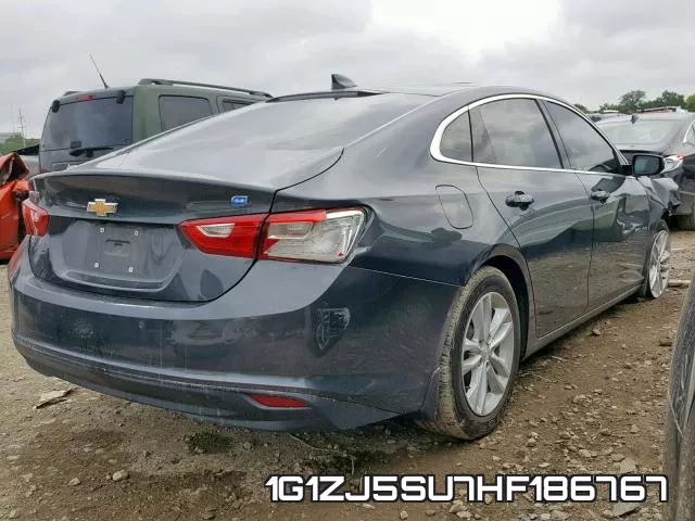 1G1ZJ5SU7HF186767_4.webp