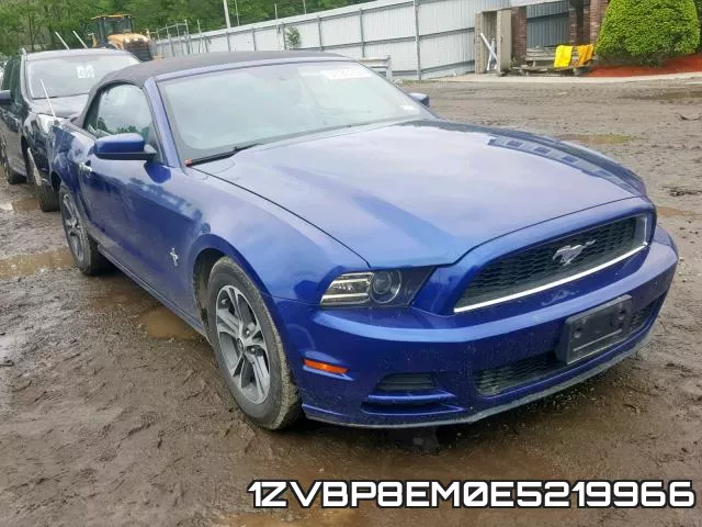 1ZVBP8EM0E5219966