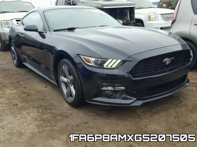 1FA6P8AMXG5207505