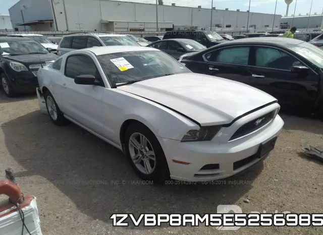1ZVBP8AM5E5256985