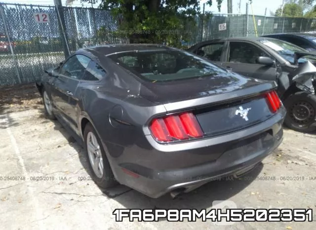 1FA6P8AM4H5202351_3.webp